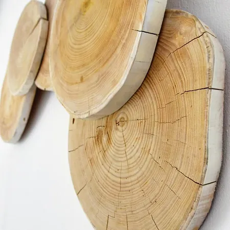 Angelos Boutique Apartmán