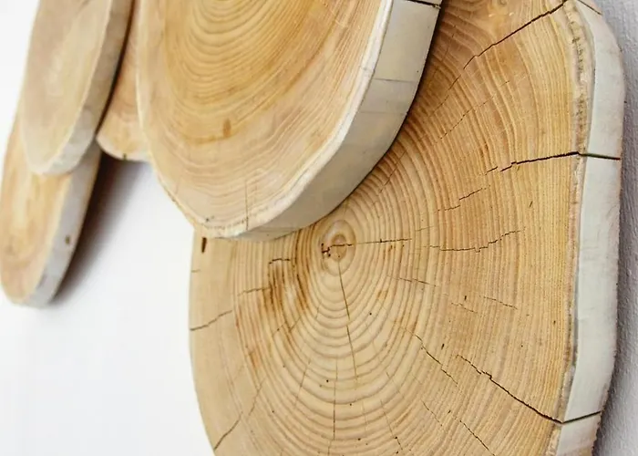 Angelos Boutique Apartamento